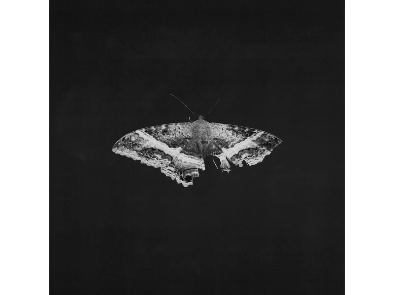 KENDRICK LAMAR - PIMP A BUTTERFLY (ALTERNATIVE SLEEVE)