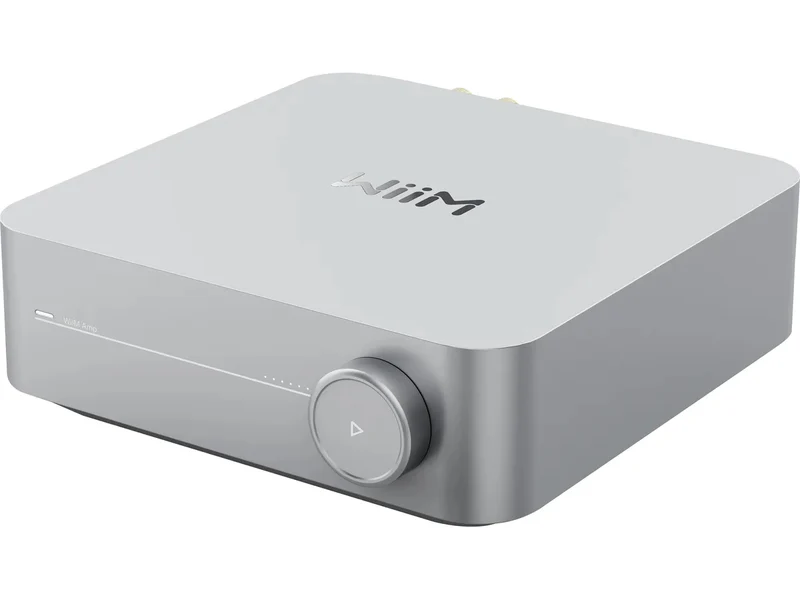 WIIM Amp