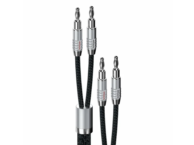 BRIDGEE XCS Series SPK