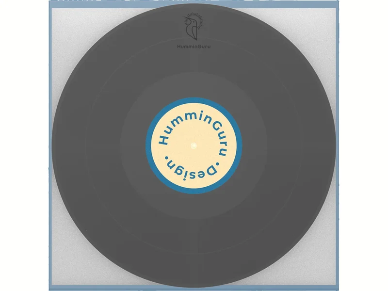 HUMMINGURU Pochettes intérieures PREMIUM x 50 (POUR DISQUES 12")