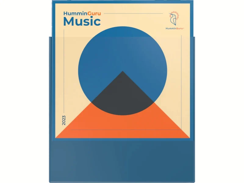 HUMMINGURU Pochettes extérieures x 50 (POUR DISQUES 12")