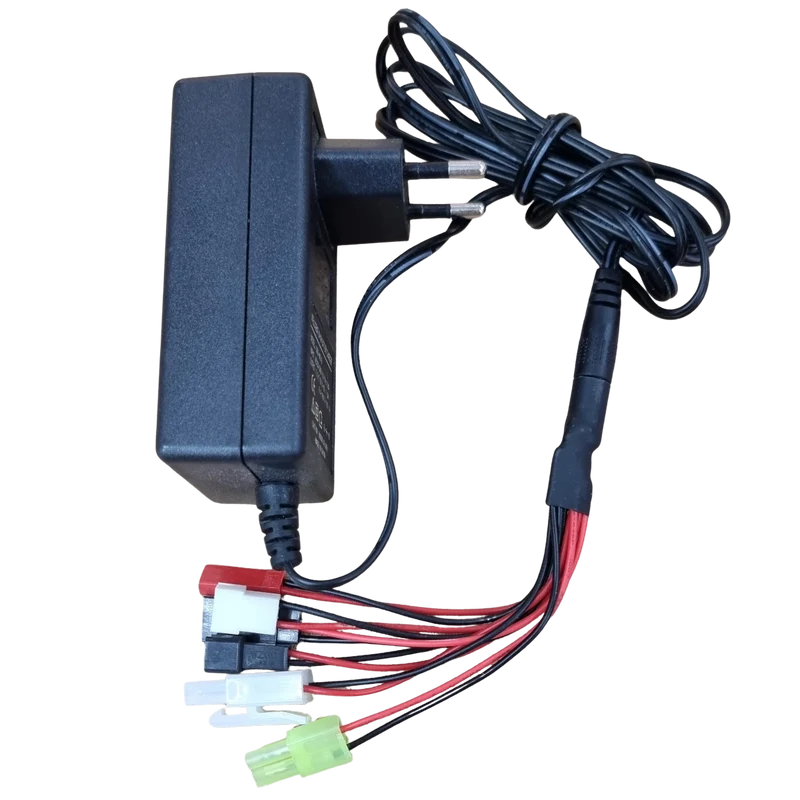 Chargeur NiMH NiCd 1.2V à 18V DSS-M318 universel
