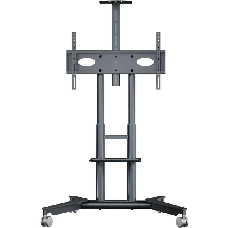Support TV mobile pour 32"–75", max. 60 kg, graphite TS1571