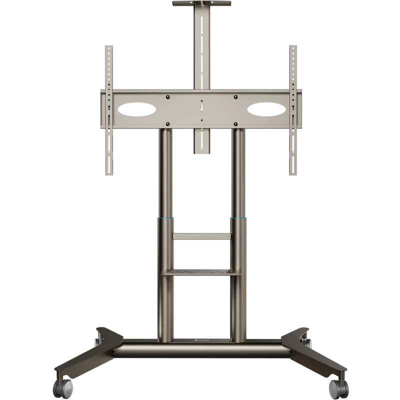 Support TV mobile pour 55"–90", max. 90 kg, champagne TS1871